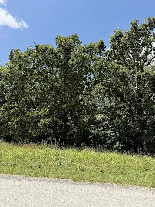 Lot 6 Titleist Lane, Rogers, AR 72756