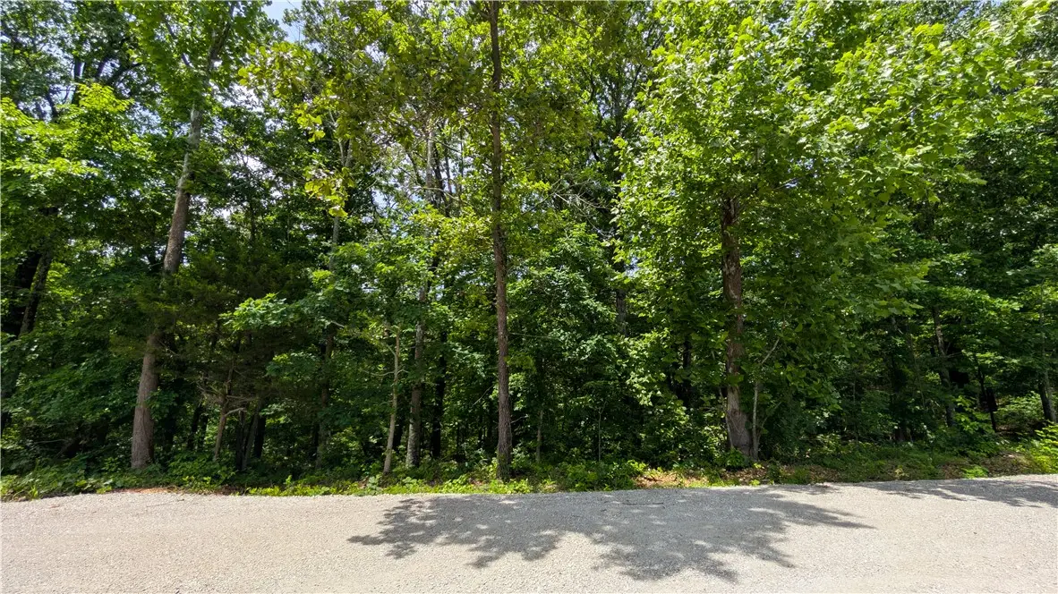 Lot 41 Hornsea Lane, Bella Vista, AR 72714 - #1