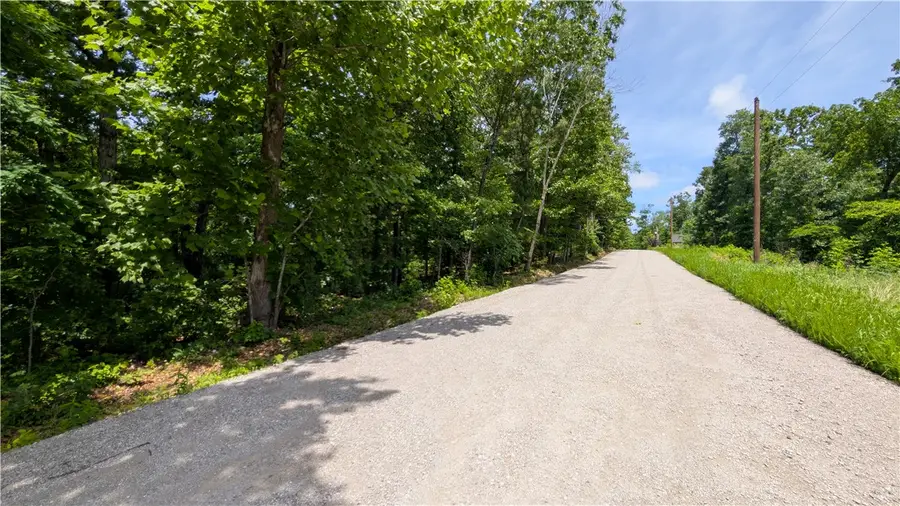 Lot 41 Hornsea Lane, Bella Vista, AR 72714 - #3