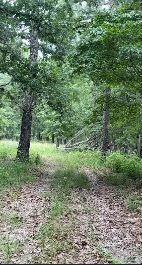 24550 Capps Ranches Road, Rogers, AR 72756
