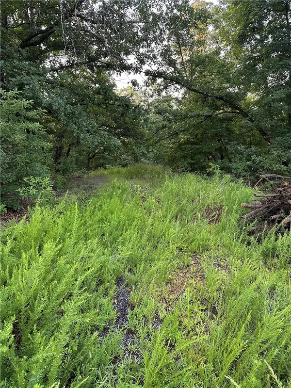 Lot 12 Denver Lane, Bella Vista, AR 72714
