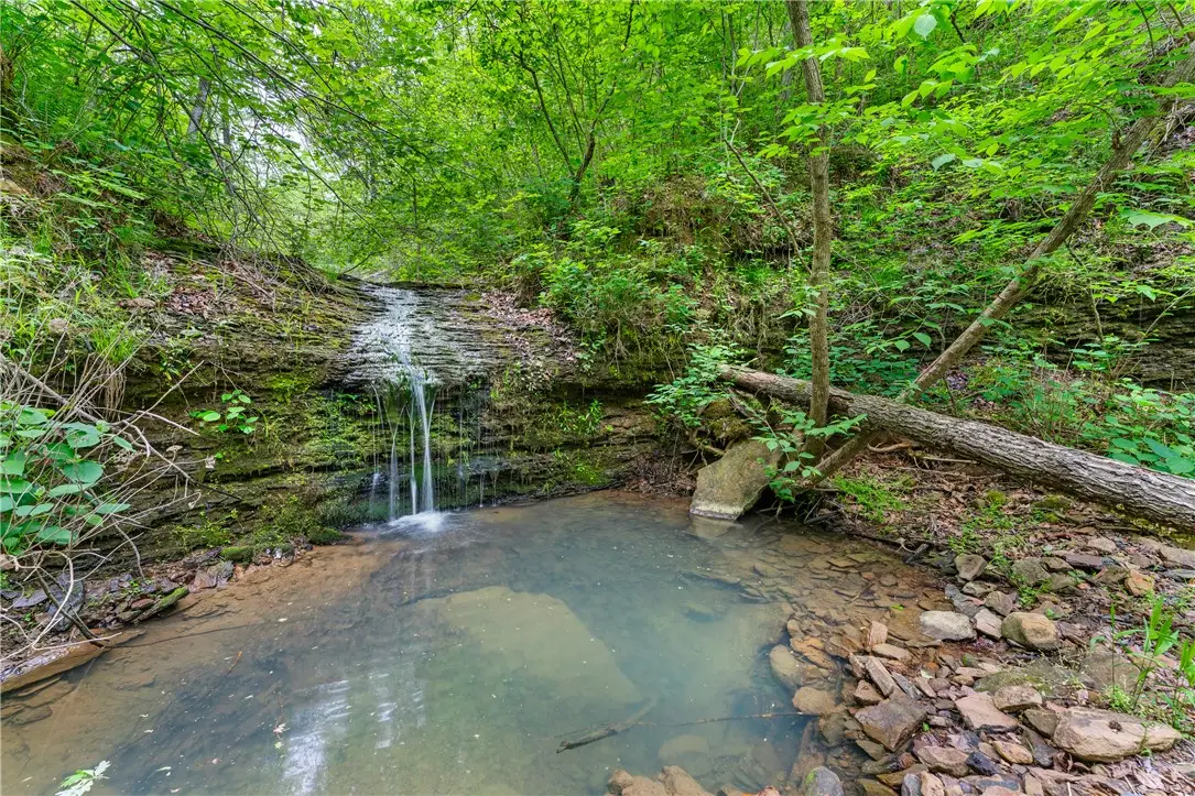 568 Madison 6182, Wesley, AR 72773 - #1