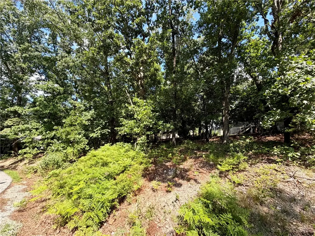 TBD Johnson Lane, Bella Vista, AR 72715 - #1
