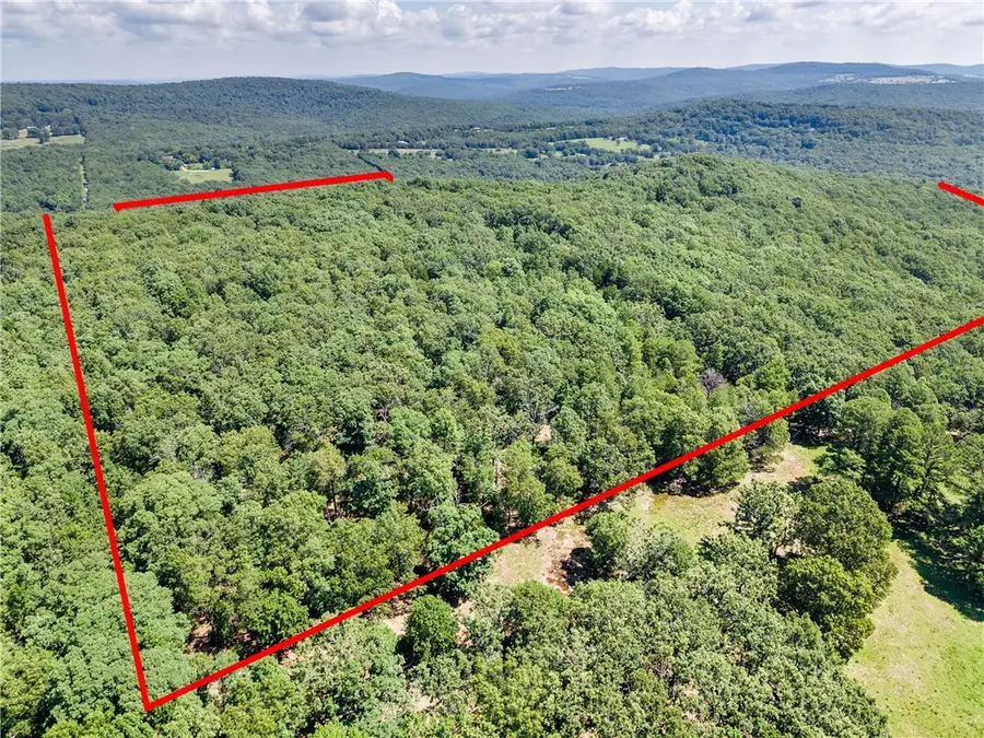 10971 Doyle Wc 4270 Road, West Fork, AR 72774 - #2