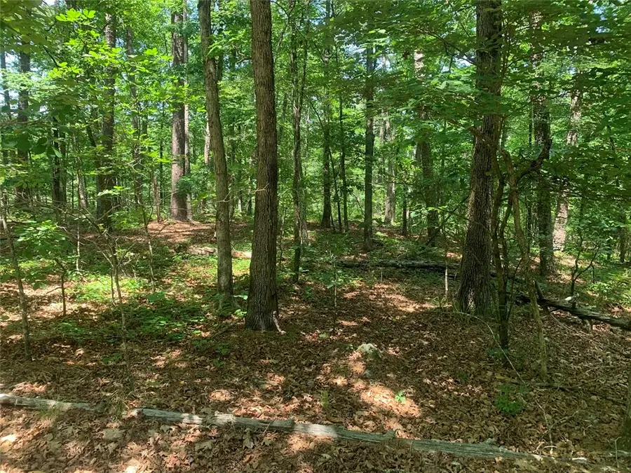 20 Montijo Way, Hot Springs, AR 71909 - #2