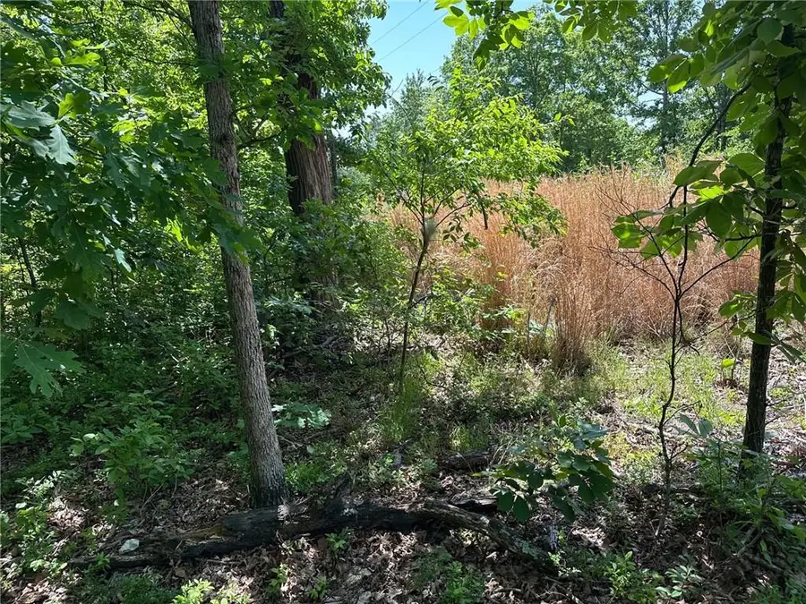 Bonnyrigg Lane, Bella Vista, AR 72715 - #2