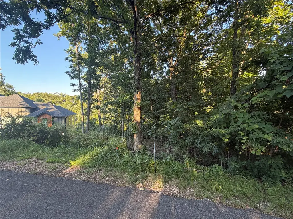 Brigadoon Drive, Bella Vista, AR 72715 - #1