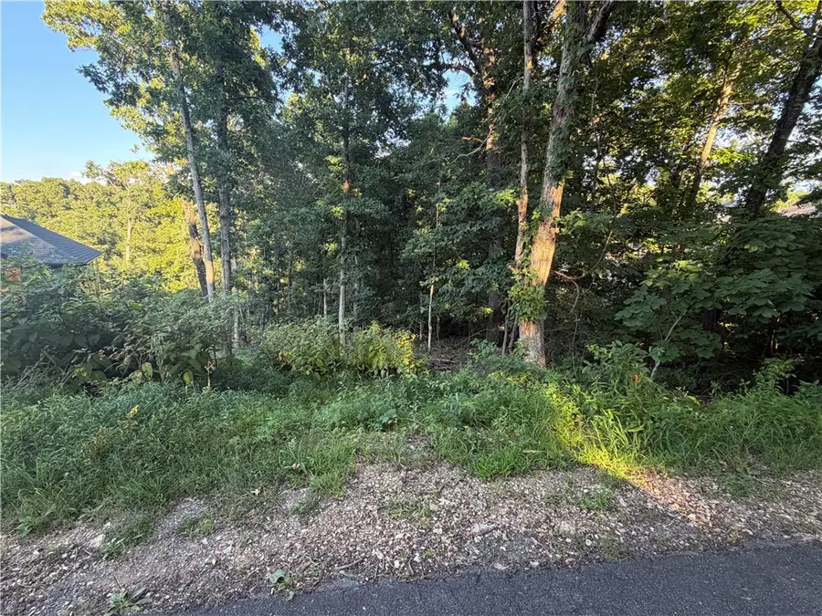 Brigadoon Drive, Bella Vista, AR 72715 - #2