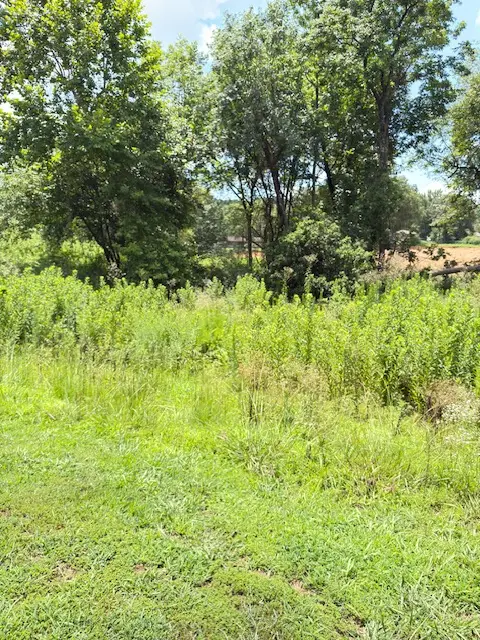 Sequoyah Way, Russellville, AR 72801