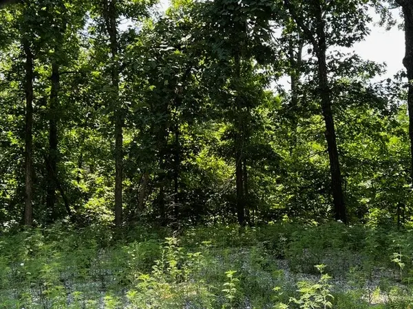 Lot 6 Southborough Lane, Bella Vista, AR 72714