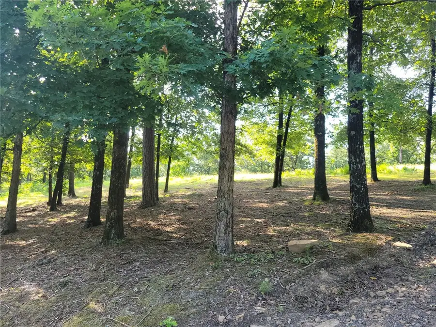 205 Apple, Russellville, AR 72802 - #3