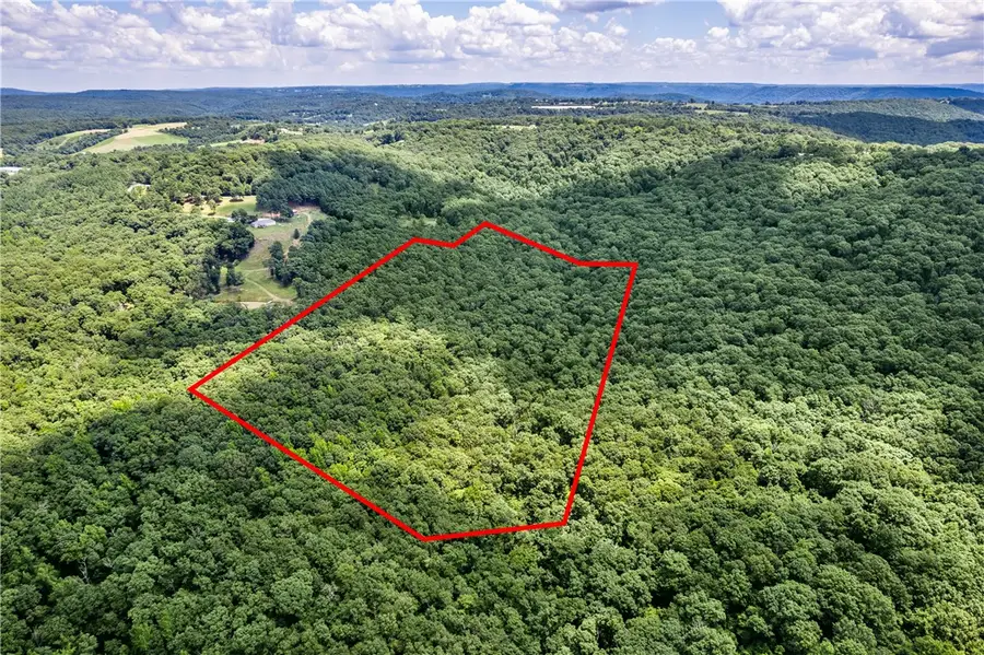 TBD Hollow Lane, Winslow, AR 72959 - #3