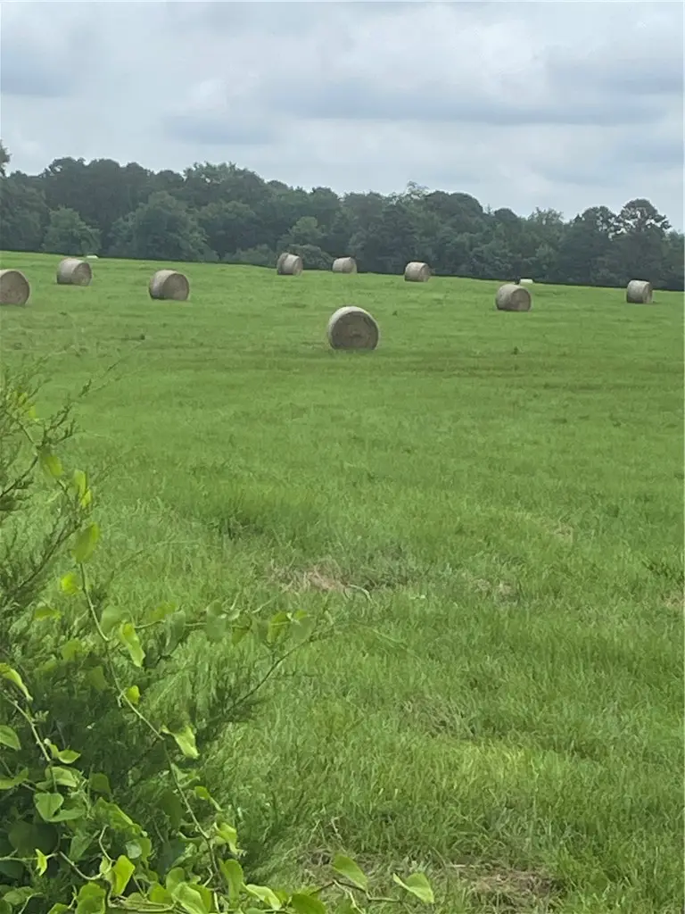 40 acres vacant land County Road 3411, Clarksville, AR 72830 - #3