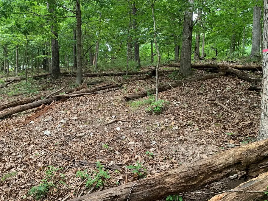 Lot 5 Sheidaig Lane, Bella Vista, AR 72715 - #2