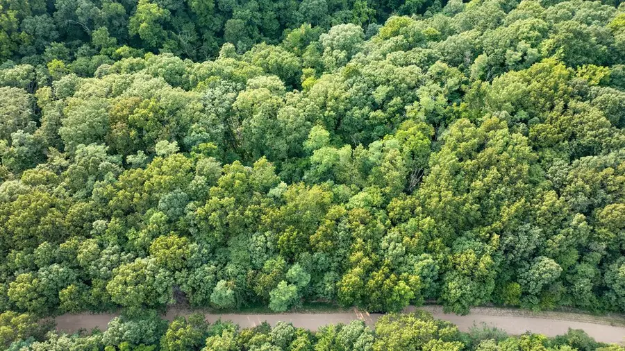 Lot 376 Arabian Lane, Rogers, AR 72756 - #2