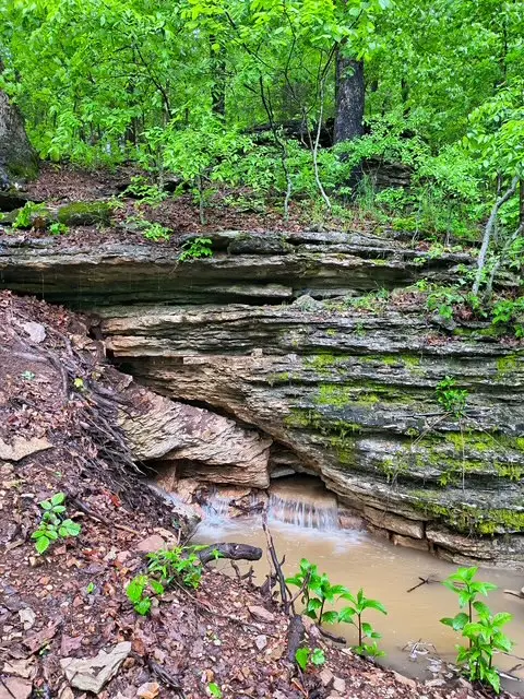 583 County Road 6561, Berryville, AR 72616