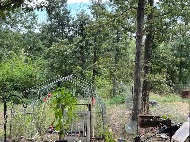 583 County Road 6561, Berryville, AR 72616 - #2