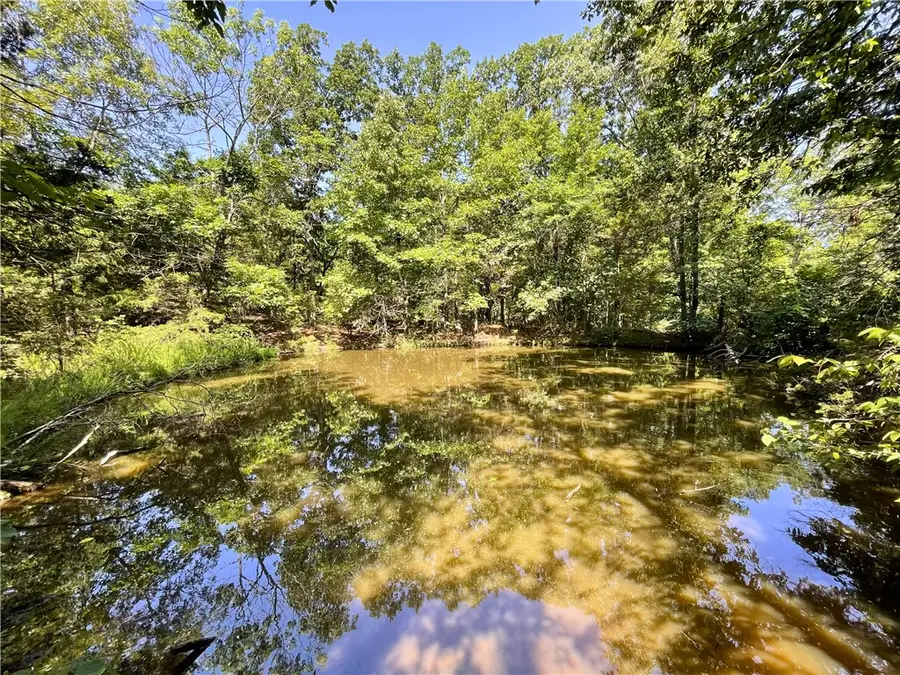 78 Acres Hwy 21, Berryville, AR 72616 - #3