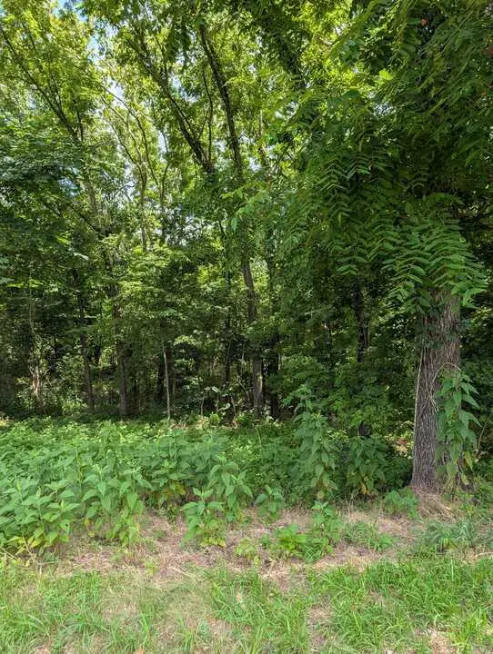 Granshire Circle, Bella Vista, AR 72714 - #1