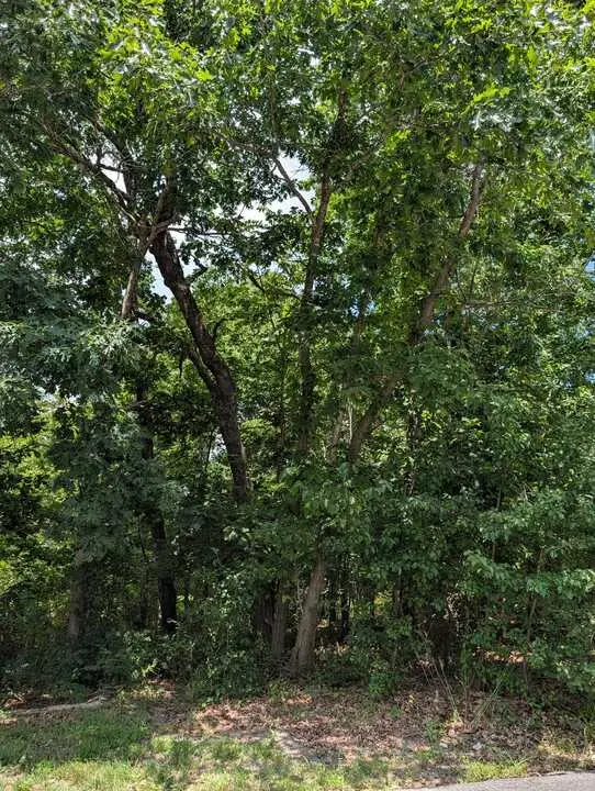 Crosshill Drive, Bella Vista, AR 72715 - #1