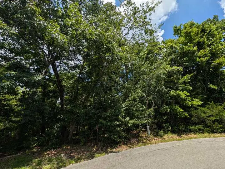 Crosshill Drive, Bella Vista, AR 72715 - #3