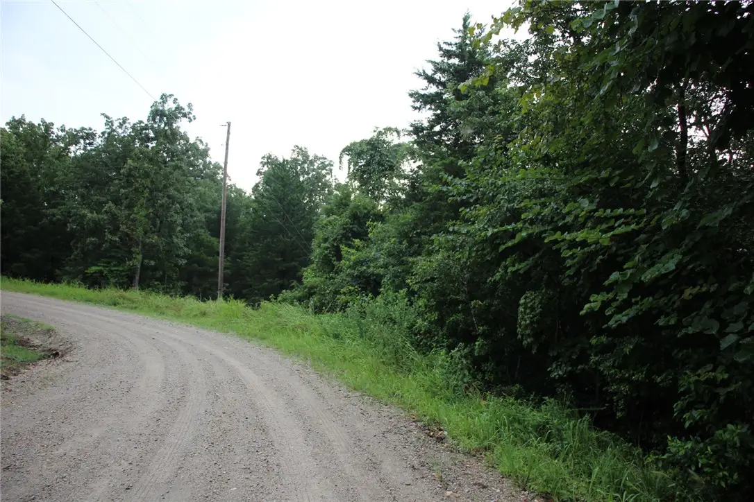 001-02314-001 Green Forest Trail, Mountain Home, AR 72653 - #1