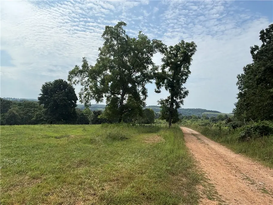 1397 Underwood Lane, Berryville, AR 72616 - #3