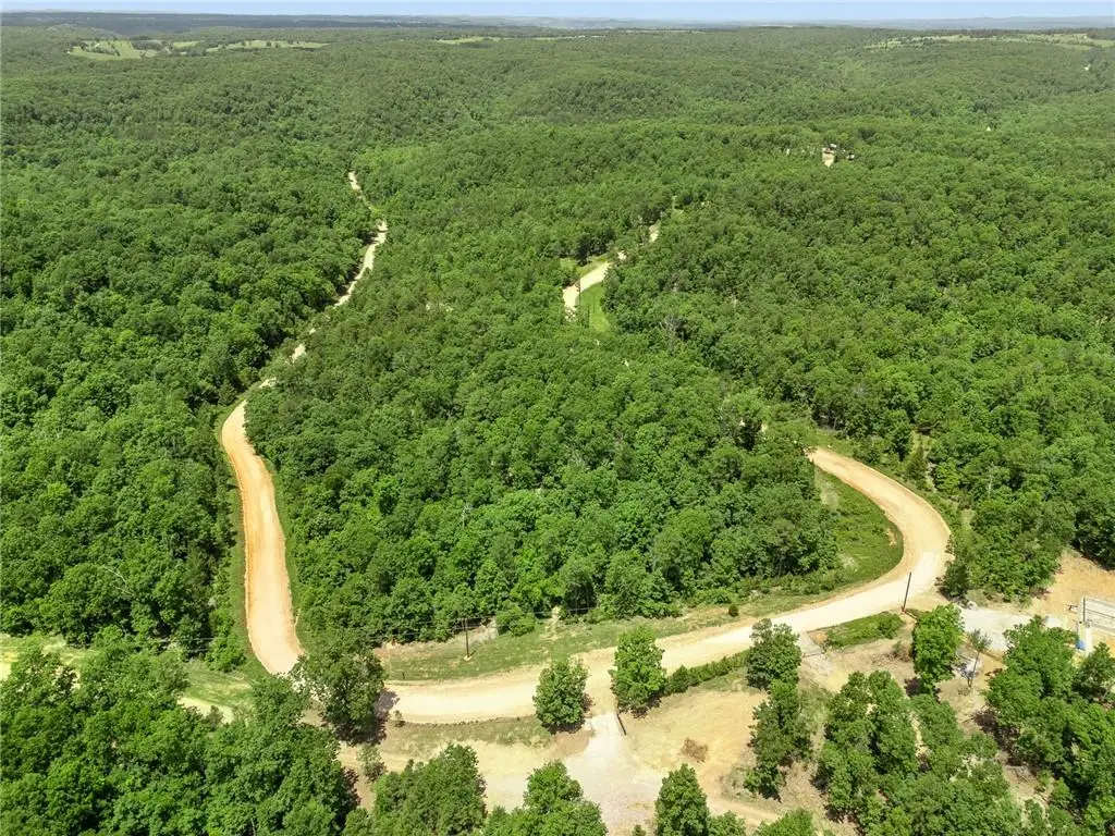 TBD Morgan Cave Road, Harrison, AR 72601 - #1