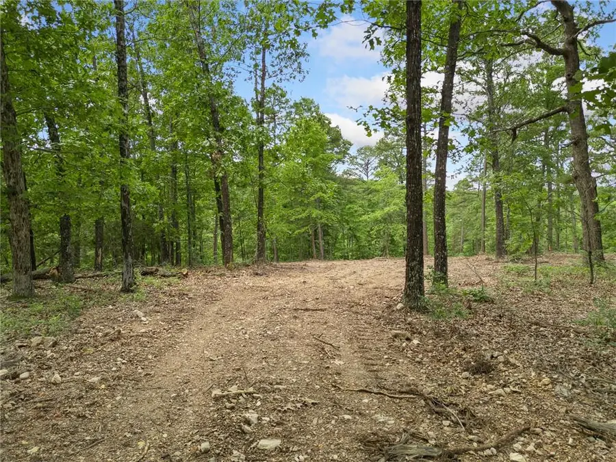 TBD Morgan Cave Road, Harrison, AR 72601 - #3