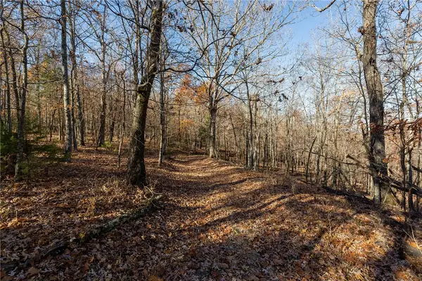Madison 6001, Elkins, AR 72727