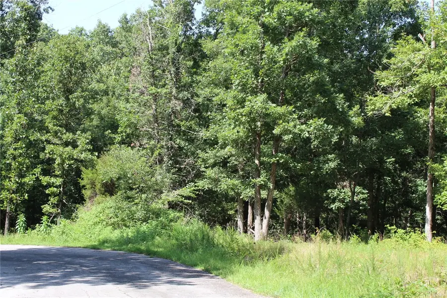 8 Lorn Lane, Bella Vista, AR 72715 - #3