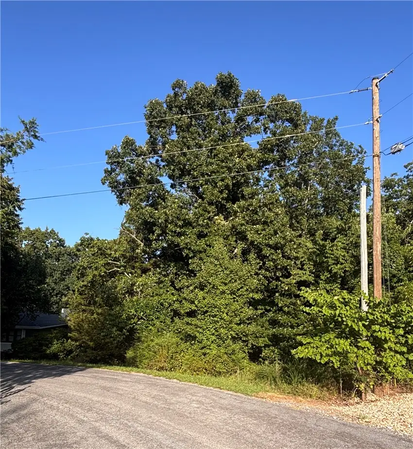 Lot 7 Block 7 Ledbetter Lane, Bella Vista, AR 72715 - #1