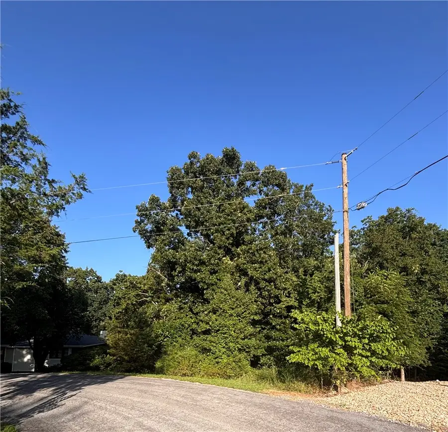 Lot 7 Block 7 Ledbetter Lane, Bella Vista, AR 72715 - #2