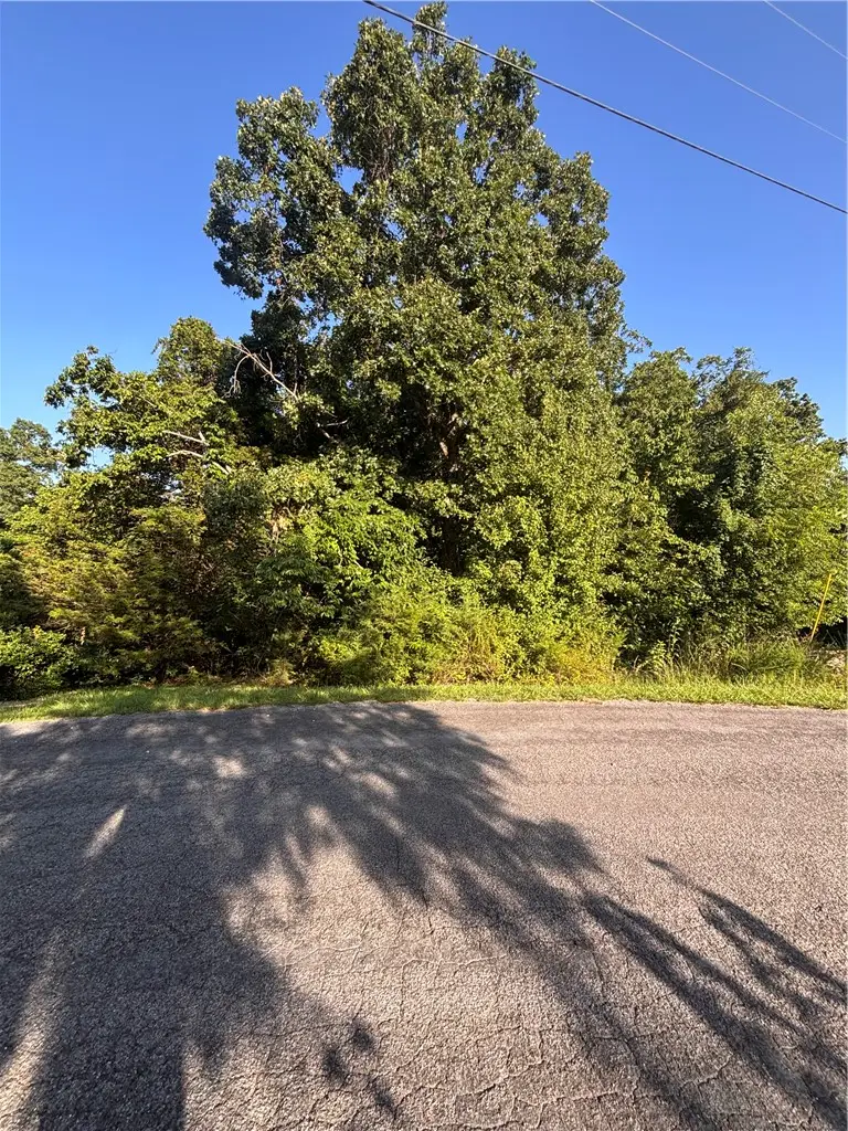 Lot 7 Block 7 Ledbetter Lane, Bella Vista, AR 72715 - #3