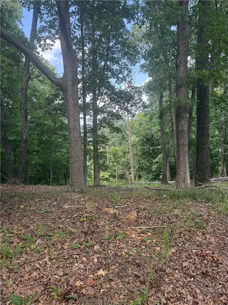 LOT 21 Mundell Road, Eureka Springs, AR 72631 - #2