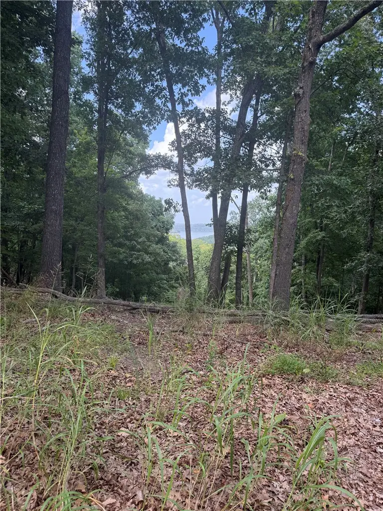 LOT 21 Mundell Road, Eureka Springs, AR 72631 - #3