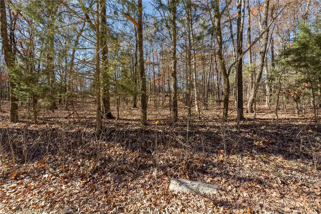 Madison 6021, Elkins, AR 72727 - #1