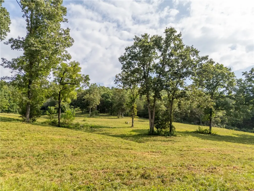 000 Estes Lane, Omaha, AR 72662 - #1