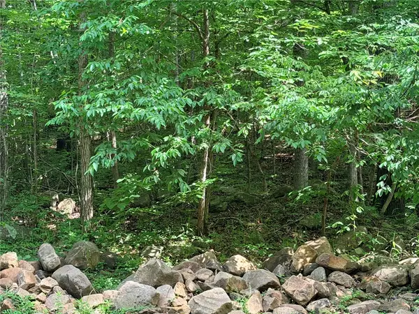 000 Terrapin Road, Harrison, AR 72601