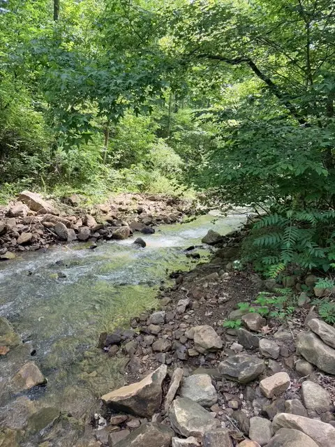 000 Terrapin Road, Harrison, AR 72601 - #2