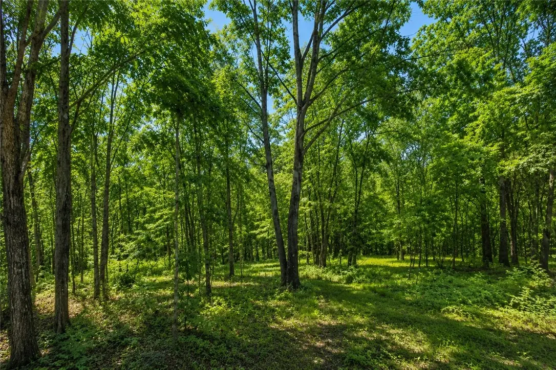 24 Tummell Drive, Bella Vista, AR 72715 - #1