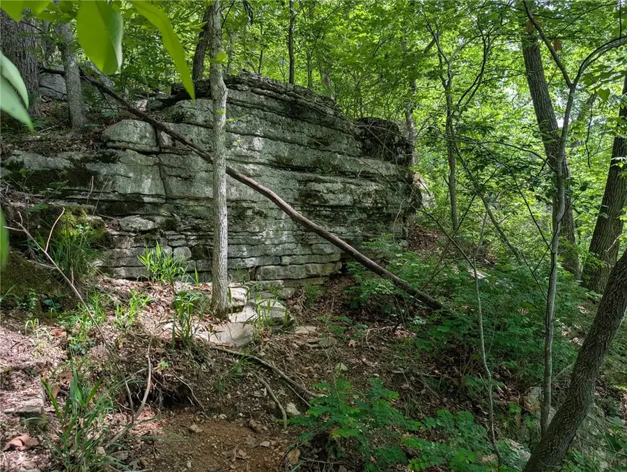 Lot 29A Spring Road, Bentonville, AR 72712 - #3