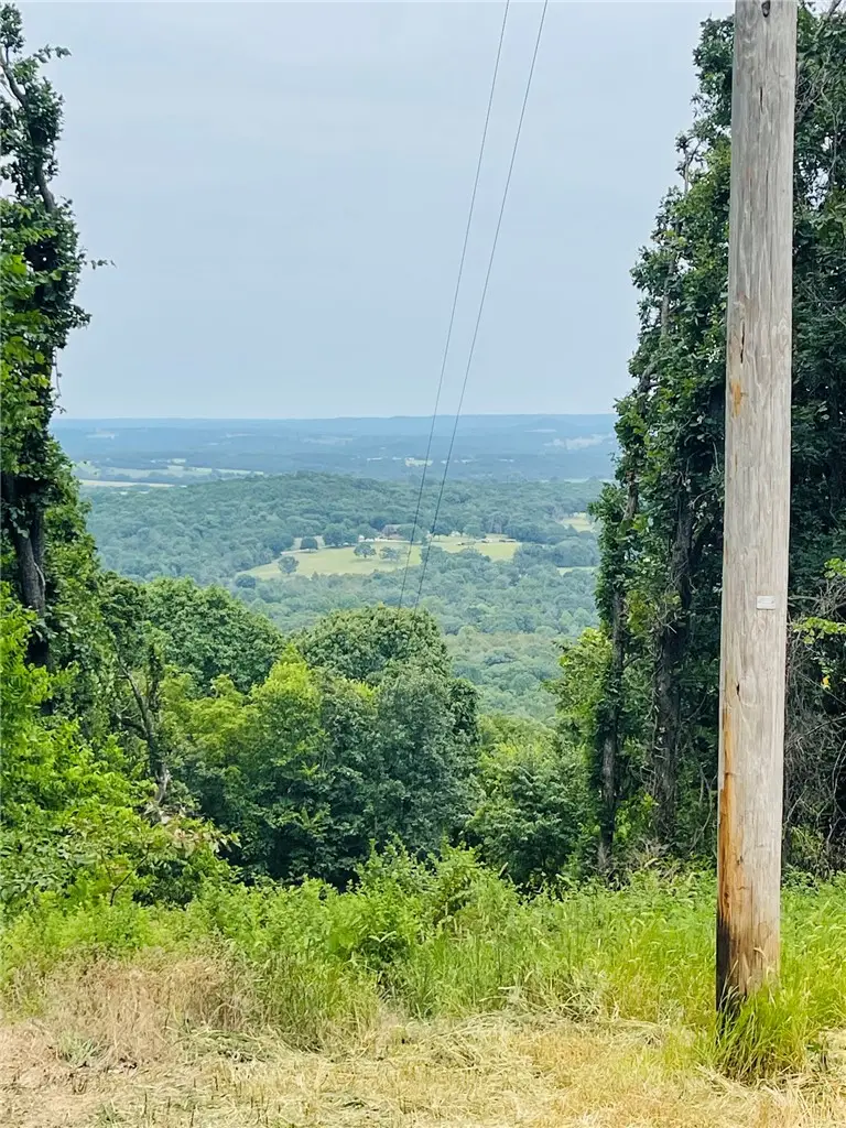 TBD Cr 246, Berryville, AR 72616 - #1