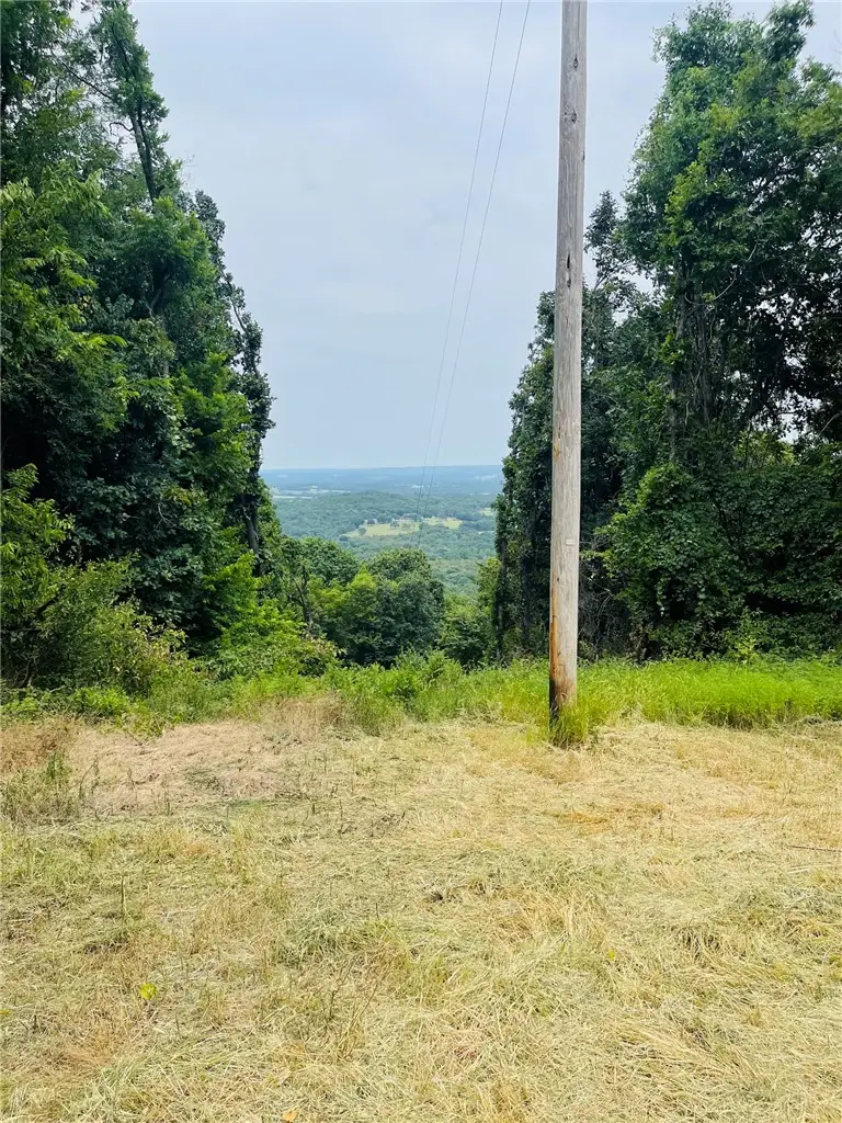 TBD Cr 246, Berryville, AR 72616 - #3