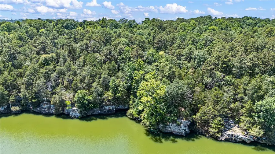 Lots 1,2,3 Pr 1699, Knoxville, AR 72845 - #3