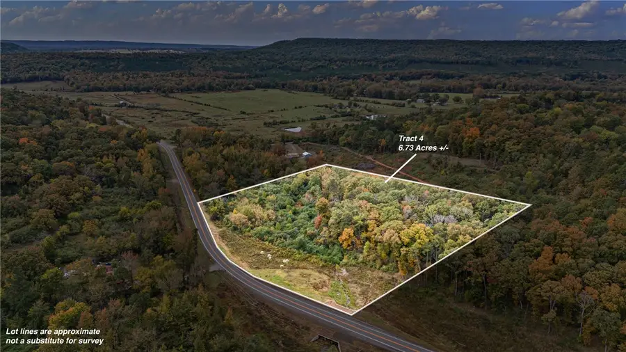 TRACT 4 - 13610 N Sr 105, Hector, AR 72843 - #2