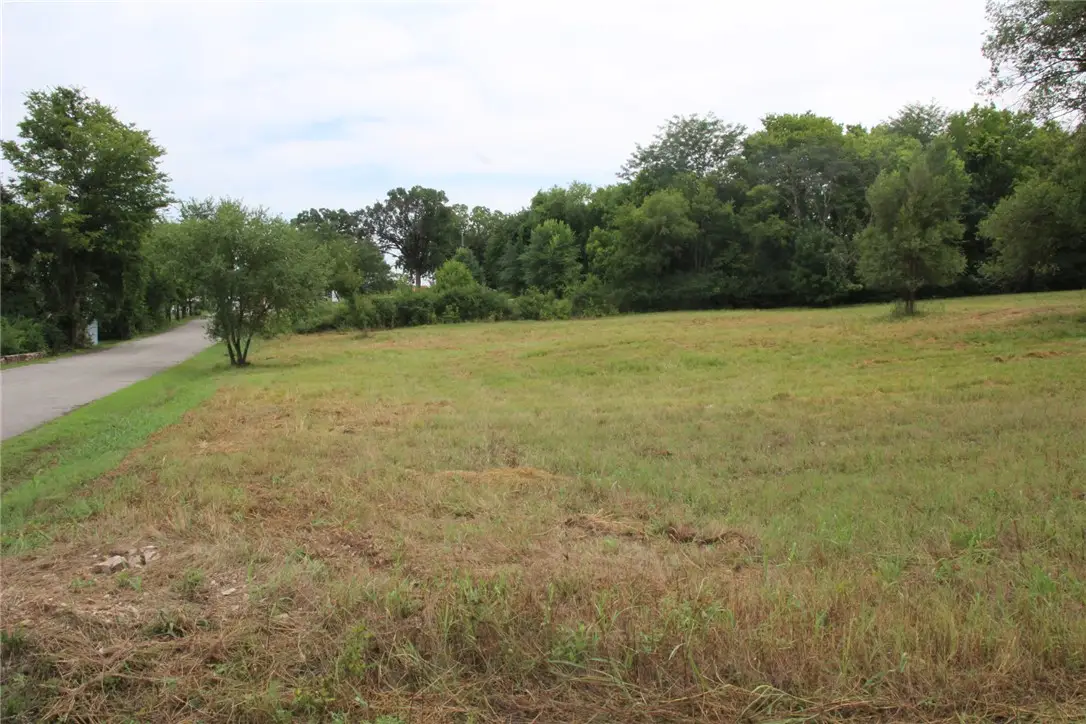 Lot 12 4th Street, Yellville, AR 72687 - #1
