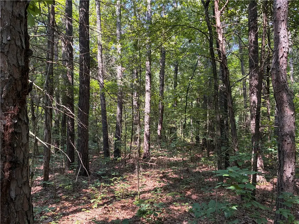 Marion County 6025 Bald Jesse, Yellville, AR 72687 - #1