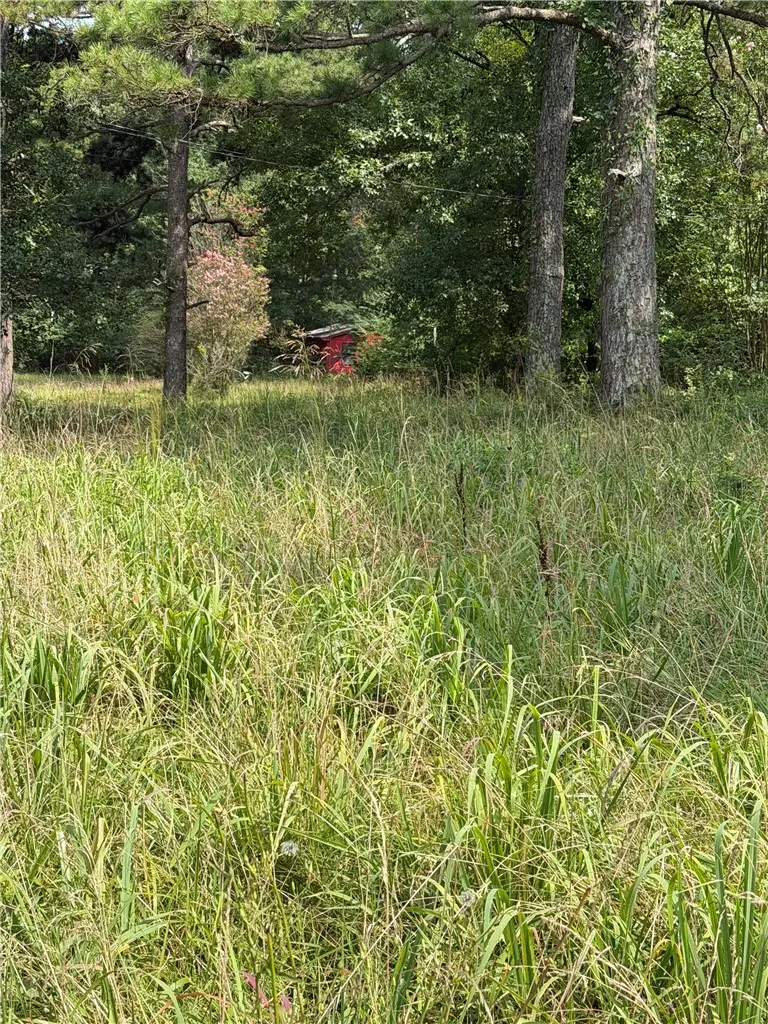 13149 W Highway 22, Dardanelle, AR 72834 - #2