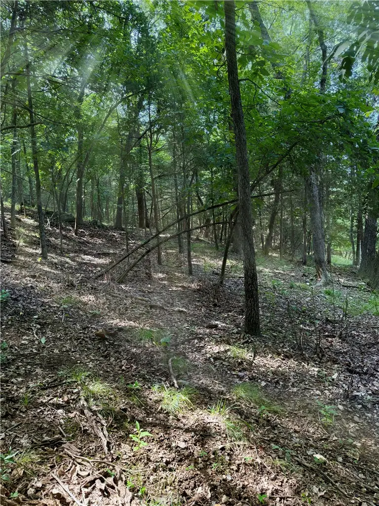 Lot 40 Pine Drive, Garfield, AR 72732 - #1